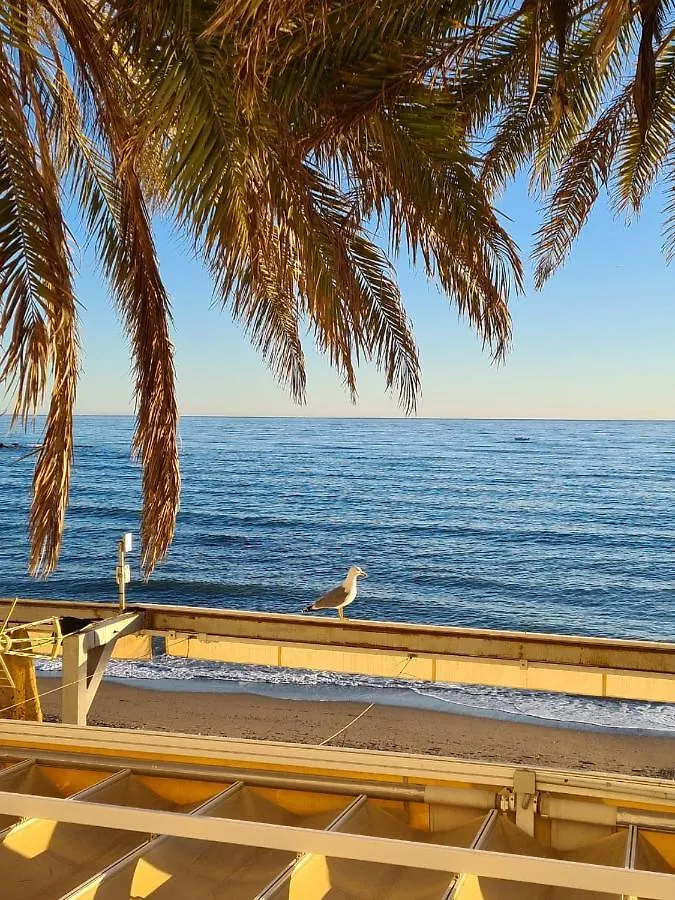 Coqueto Apartamento 2 Hab 4 Min Centro Historico Apartment Marbella 0*,  Spain
